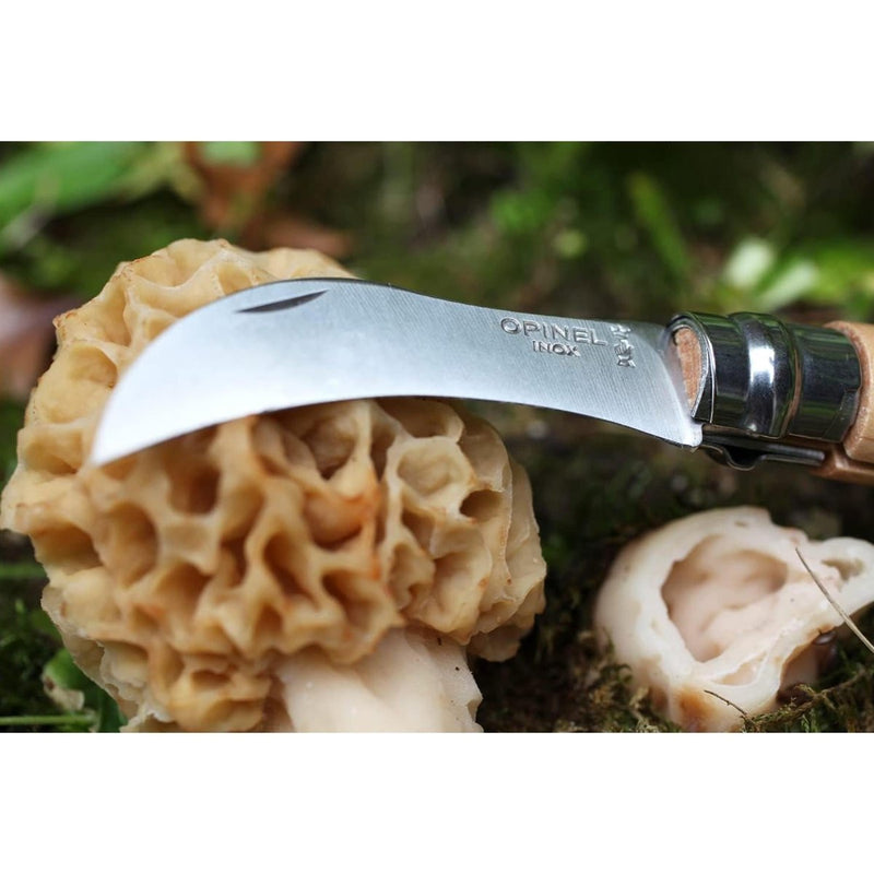 Couteau de poche à champignons Opinel N°08 en acier inoxydable avec manche en hêtre